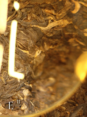 E41