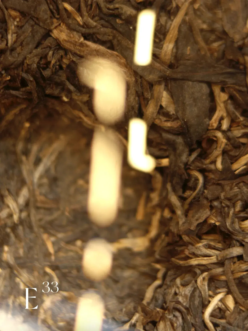 E33 Long Sheng Tea Sheng Cha